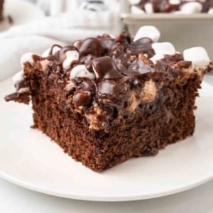 Slice of Mississippi mud cake on a white plate.