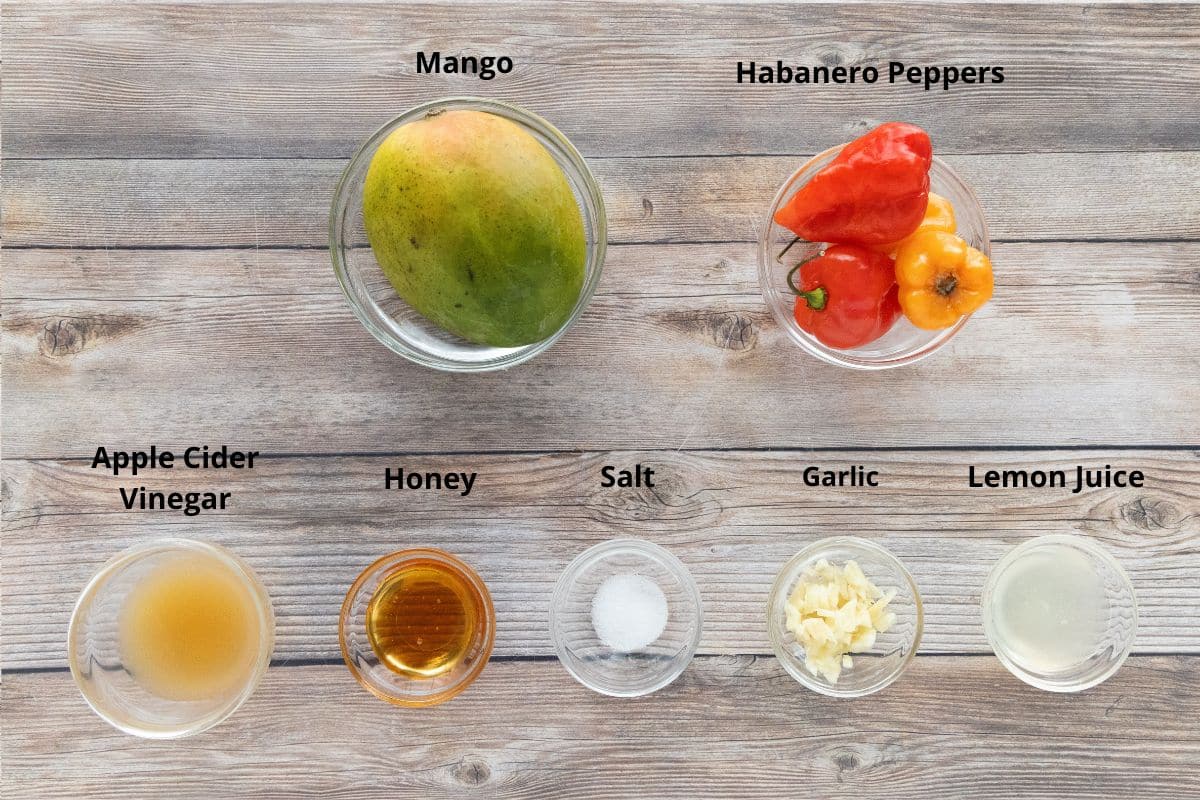Ingredients to make the recipe.
