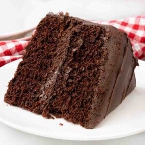 Slice of Matilda's chocolate cake on a white plate.